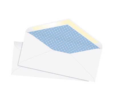Secure Tint Envelope